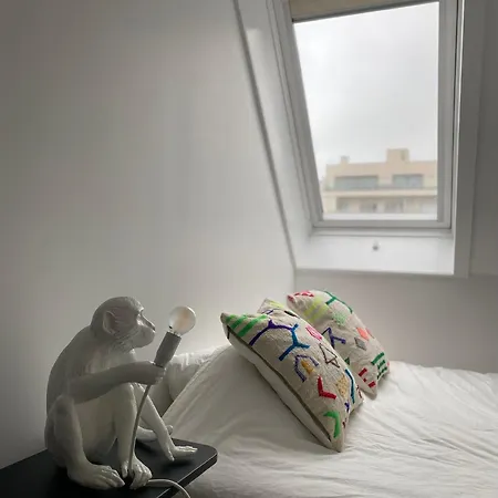 Moderne Apartment Nieuwpoort